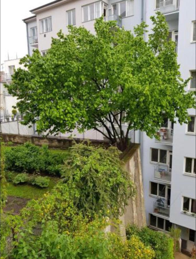 Apartment Old Town Pellicova